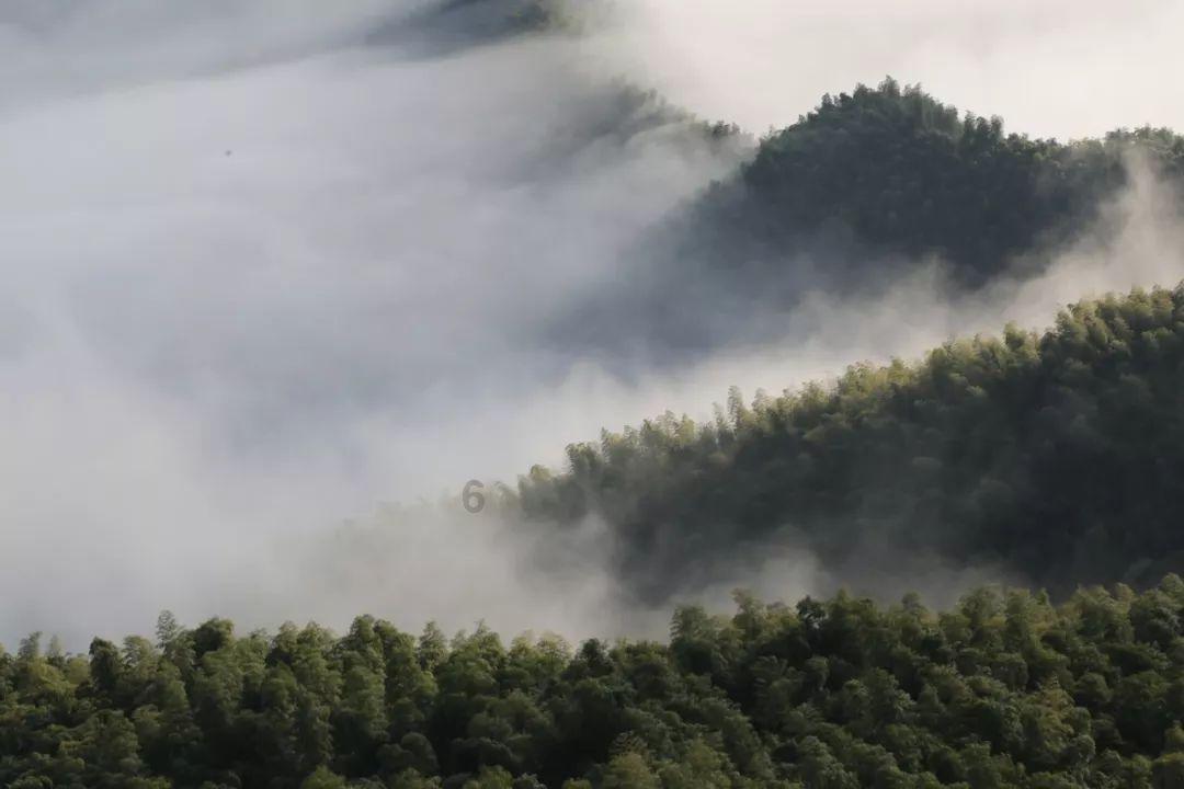 救出被困的老鼠