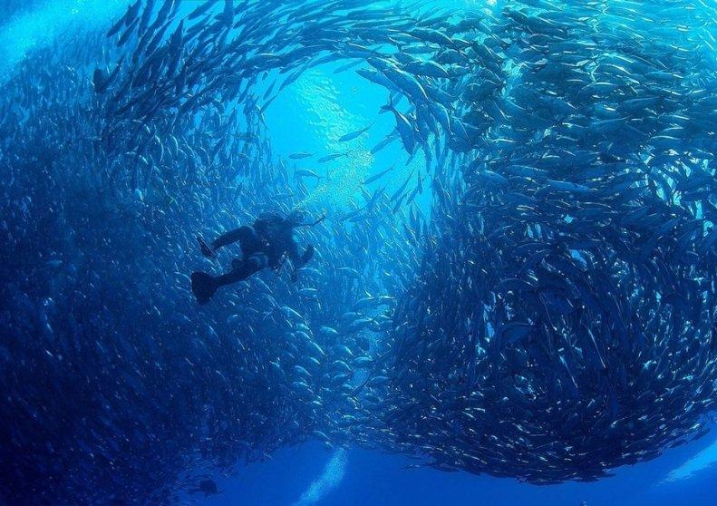 永安社区暖心团圆宴开宴