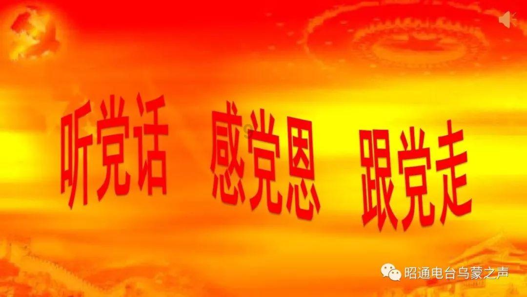 《幻兽帕鲁》人物配点心得