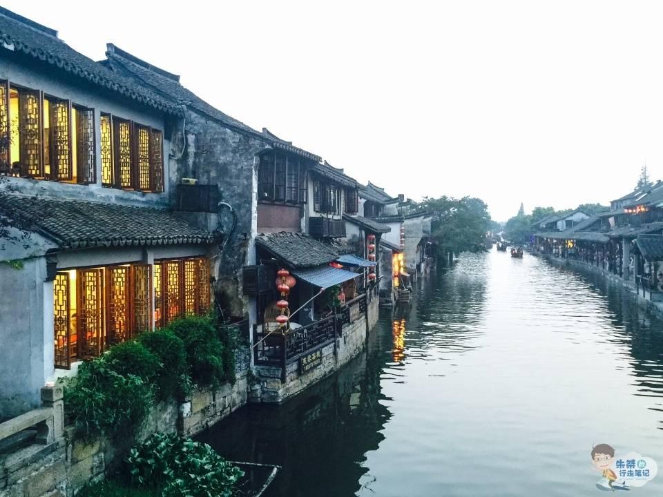 世界最稀少的动物是什么？游戏画面