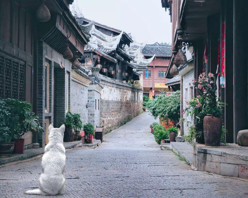 和平区八一早市市场管理部门接到群众举报商贩误导消费